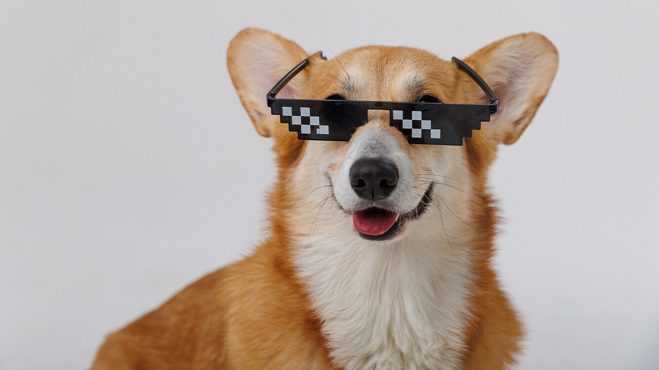 Mensajería visual instantánea